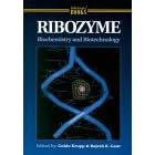 Ribozyme Biochemistry and Biotechnology: Biochemistry and Biotechnology (Molecular... by Guido Krupp and Rajesh K. Gaur