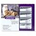 Kitchen & Housewares : Advantage for Cats 9lbs. & over