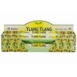 Aloe Vera - 20 Stick Hex Tube - Tulasi Incense