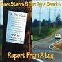 Report from a Log