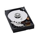 Western Digital 320GB 7200RPM 3.5 16MBPATA Bulk/OEM Hard Drive WD3200AAKB
