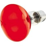 Chauvet Colorbank Replacement Lamp 120V 60W, Green - B0002GZ14M