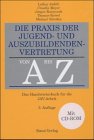 Die Praxis der Jugend- und Auszubildendenvertretung von A bis Z. Das Handwoerterbuch fuer die JAV- Arbeit-
