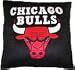 Search : Chicago Bulls 16 inch Plush Pillow