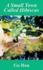 A Small Town Called Hibiscus