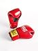 Everlast Boxing Fighter Glove 16oz
