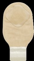 large image