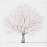 桜(初回予約限定盤)(DVD付)