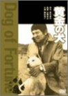 黄金の犬 鶴田浩二 島田陽子 夏八木勲 地井武男 藤巻潤 西村寿行