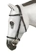 Exmoor Premium Raised Pelham Bridle