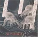 Microscopic