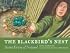 The Blackbird's Nest: Saint Kevin of Ireland