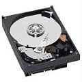 Western Digital WD10EARS Caviar Green 1TB interne Festplatte(8,9 cm (3,5 Zoll), 5400rpm, 8.9 ms, 64MB Cache, SATA)