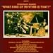 What Kind of Rhythm Is That - Territory Bands 1927-1931