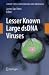 Lesser Known Large dsDNA Viruses (Current Topics in Microbiology and Immunology)