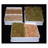 Sprout Master Triple Sprouter by Sprout Master