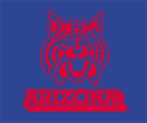 Buy NCAA Sports Classic Blanket Throw Arizona Wildcats - College Athletics Fan Shop Merchandise by Biederlack