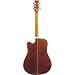 Washburn D10 Series Dreadnought Acoustic Electric