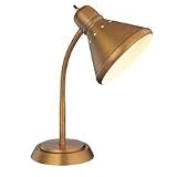 Flexible Desk Lamp from Destination Lighting