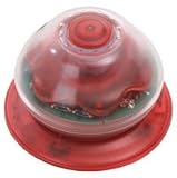 Emphasis Night Light Red