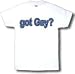 got Gay? Youth T-Shirt