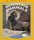 Mountain Mammals (True Book)