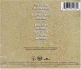 Eigenschaften Foo Fighters  / Foo Fighters