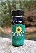 Helichrysum Oil by SomaTherapy (aka Everlasting; aka Immortelle) 16oz.