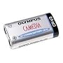Olympus LB-01 CR-V3 Lithium Battery for C755, D545, D595, C211, C2040, D490,C3040, C3000, E10, E100 Digital Cameras (1 Pack)