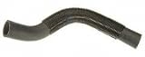 Gates 22437 Lower Radiator Hose
