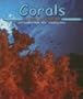 Corals (Ocean Life)