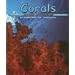 Corals (Ocean Life)