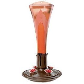 21NGm8FPOaL Avant Garden 83102 Landmark Hummingbird Feeder