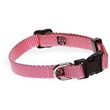 Aspen Pet 3/8 Single Ply Nylon Adjustable Dog and Cat Collar