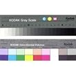 Tiffen Color Separation Guide with Grey Scale, 8" Size, #Q-13