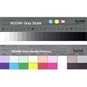 Tiffen Color Separation Guide with Grey Scale, 8" Size, #Q-13