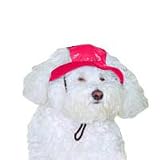 Cap Neoprene - Red - Size 1