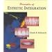 Principles of Esthetic Integration