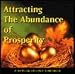 Attracting the Abundance of Prosperity