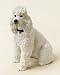 Dog & Pups Galore - White Poodle