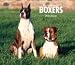   - Boxers Deluxe Wall 2008