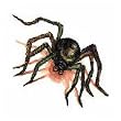 Spider Temporary Tattoo 2x2
