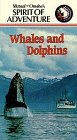 Whales & Dolphins [VHS] [Import]