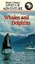 Whales & Dolphins [VHS]