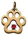 14k Puppy Paws Pendant with an July, Ruby Gemstone