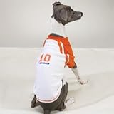Casual Canine Top Star Sport Tee (XS)
