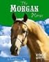 Morgan Horse (Snap Books Horses)