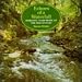 Echoes of a Waterfall: Romantic Harp Music of the 19th Century