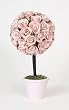 Rosebud Topiary