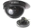 Speco Technologies 1/4-Inch CCD Color Dome Camera with 4-8mm Varifocal Lens